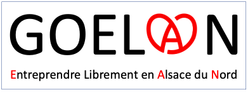 logo du partenaire: go-elan.png